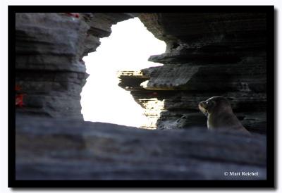 Looking into the Light, Isla Santiago, Galapagos