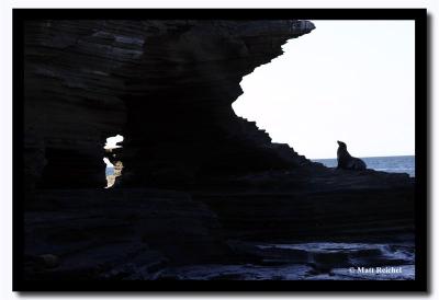 Sea Lion Silhouette, Isla Santiago, Galapagos