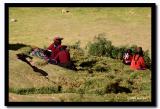 In the Cusco Highlands, Peru