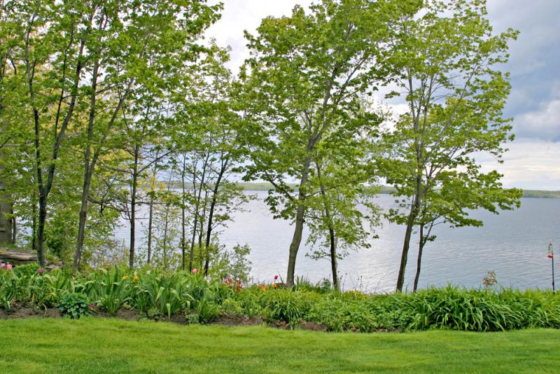 Garden.jpg