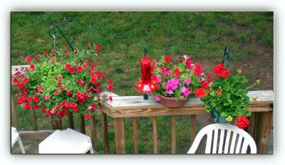 More Flowers Added