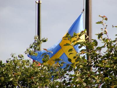 Sweden-US flag 1st.jpg(248)