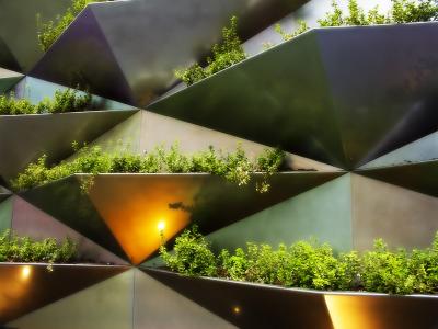 u47/mscottc/medium/30755817.ColoredPlanters.jpg