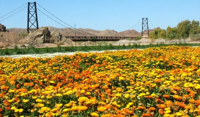 u47/mtf_foto_studies/medium/30561519.bridge_post_22.jpg