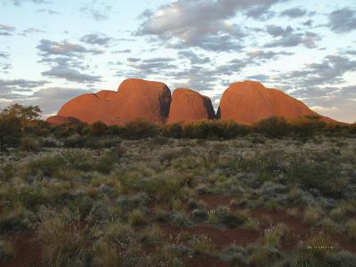 u47/mtf_foto_studies/medium/30853937.KataTjutaSunset.jpg