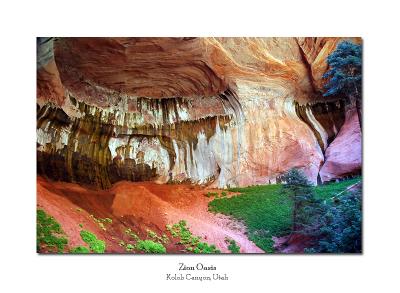 5th: Zion Oasis ~ By Kimberly