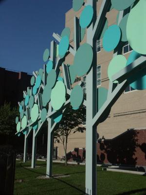 Urban Trees.jpg