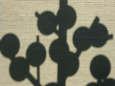 Leaf Shadows By Don Lynch