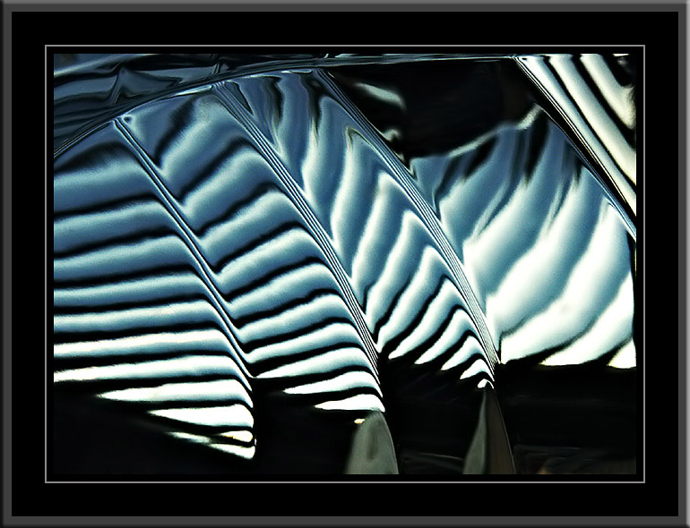 C17 Comp Gallery header