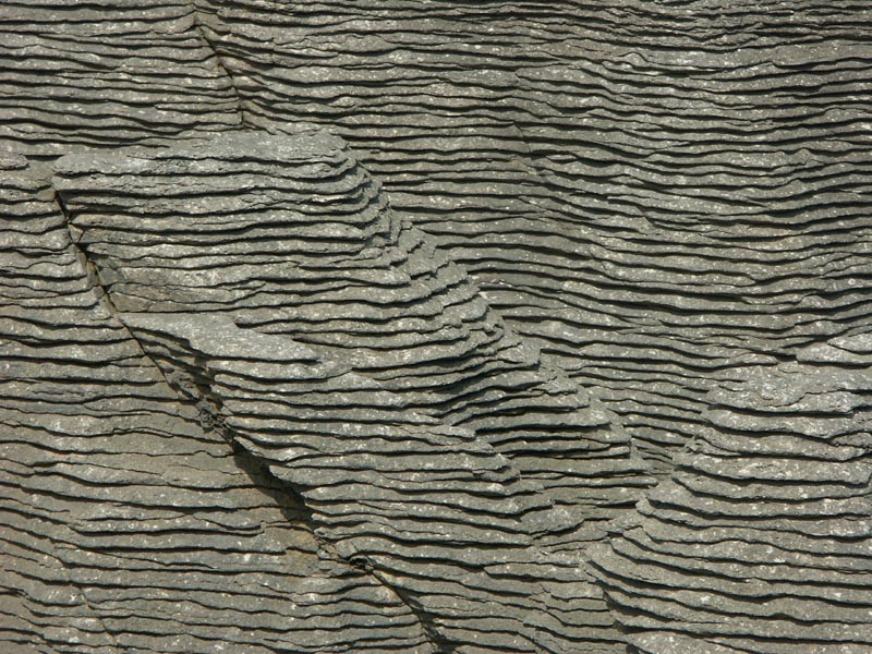 FingerPrint by Roger Wilmot