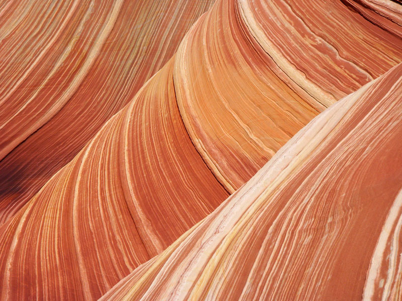2nd: The wave by Xavier Cohen