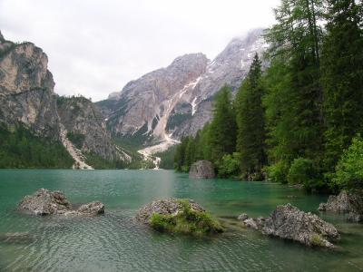 u47/mussetto/medium/30727935.DSCN8711.jpg