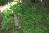 img_20040626_015.jpg