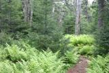 img_20040626_032.jpg