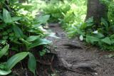 img_20040626_035.jpg