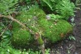 img_20040626_040.jpg