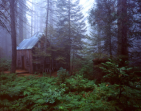 October in Sequoia National