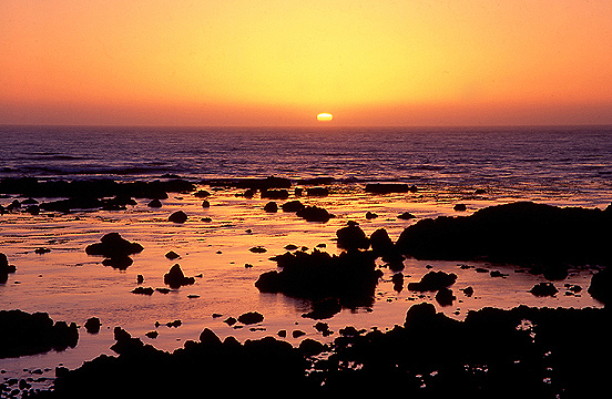 Pacific Sunset