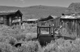 Bodie_2096_B&W.jpg