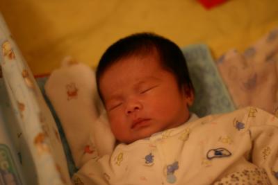 IMG_2114_resize.JPG