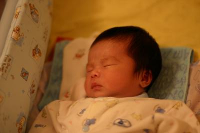 IMG_2115_resize.JPG
