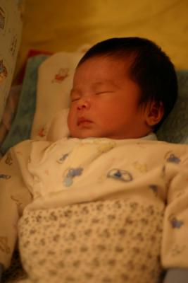 IMG_2116_resize.JPG