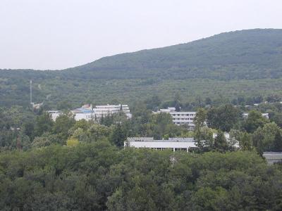 u47/ngruev/medium/30648846.P6261323.jpg