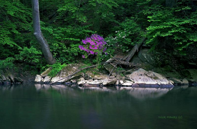 Rock Creek Bend