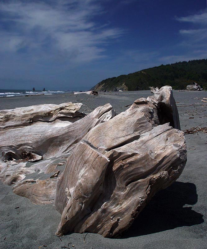 Redwood Coast