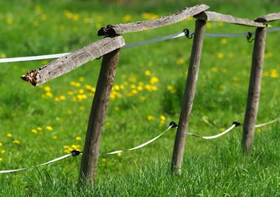 De-Fence