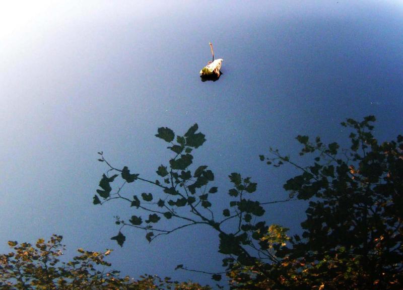 22nd September, fragile