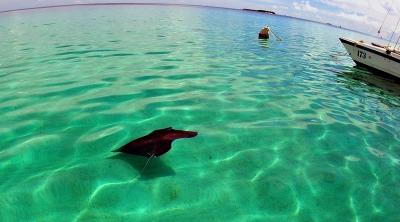 DSC_0767RayFxSh2_50Pct.jpg