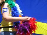 boston pride flag feathers.jpg