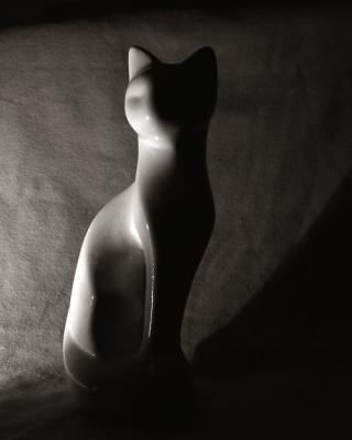 cat curves 1