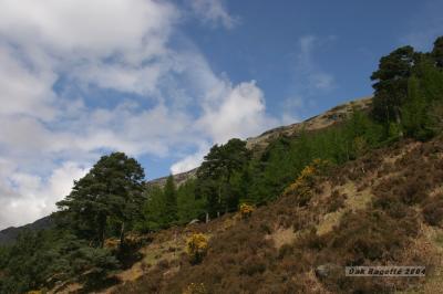 004_Side_mountain.jpg