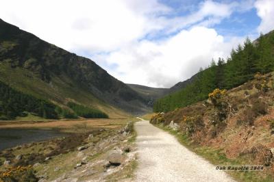 005_Up_the_valley.jpg