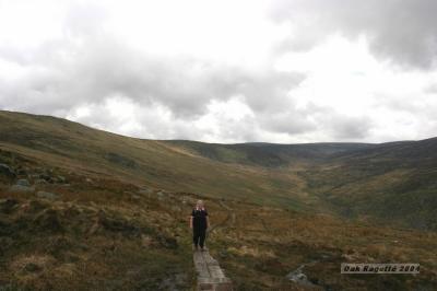 016_Across _the_ridge_looking_west.jpg