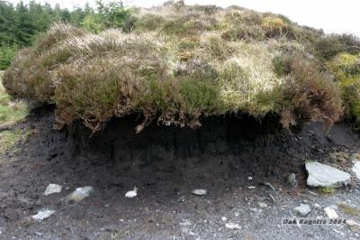 023_Heather_Peat_LooseGlacierRock.jpg