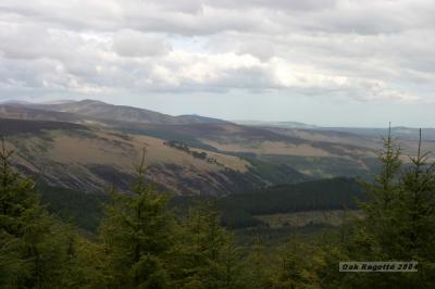 026_More_wicklow_mountains.jpg
