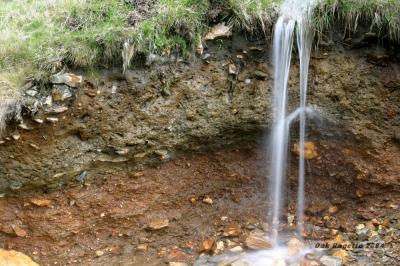035_Water_fall_Soil_profile.jpg