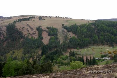 036_Hillside_with_farm.jpg