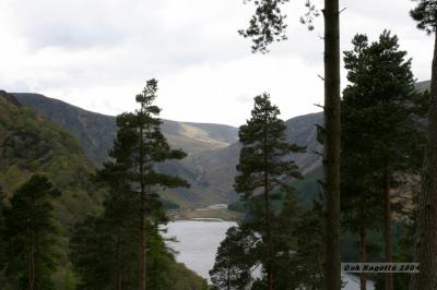 037_Through_the_trees_looking_west.jpg