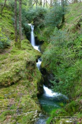 038_The_Pollanass_falls.jpg