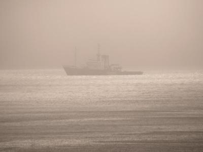 Obscured by Fogby Alexander McClearn