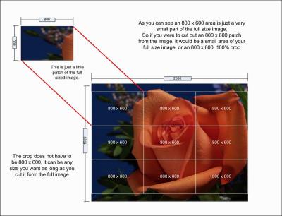 When you look at the full size image, you can imagine that it is made up of a whole lot of little 800 x 600 pieces. Think of it like a picture puzzle, after you have it all together it makes a nice big picture. The puzzle is made up of a whole lot of small pieces. 
Now if you take one of those little pieces out and look at it on it's own, that is the same thing you are doing with a 100% crop. 
If you look at the image at the left, which is our picture puzzle, you will see all the pieces and each piece is 800 x 600.  Now if you were to pick up one piece you would see just a small part of the large image. 
So this is an 800 x 600, 100% crop.