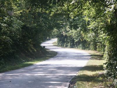 030814-27-Long & winding road.JPG