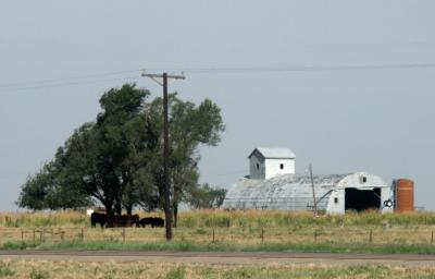 030817-19-Near Jerico, TX.JPG