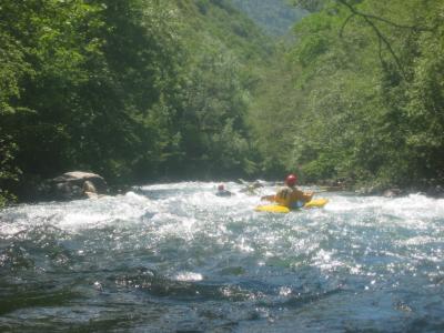 IMG_4493_96_1.JPG