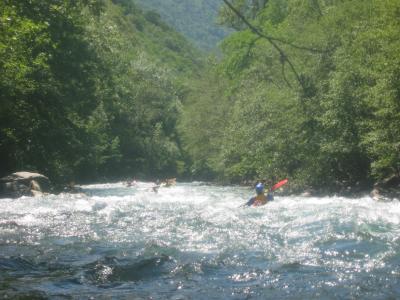 IMG_4495_98_1.JPG