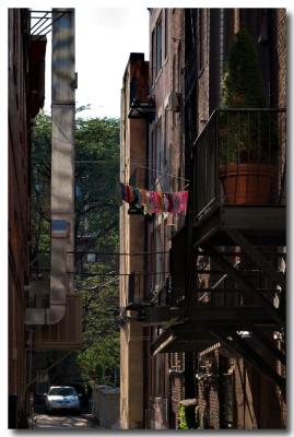 u47/pderocco/medium/32134167.04062756Clotheslinecopy.jpg
